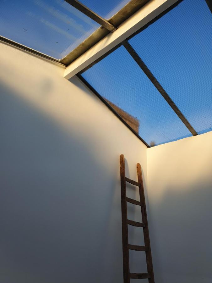 Bed Zonder Breakfast Apartment Amsterdam Luaran gambar